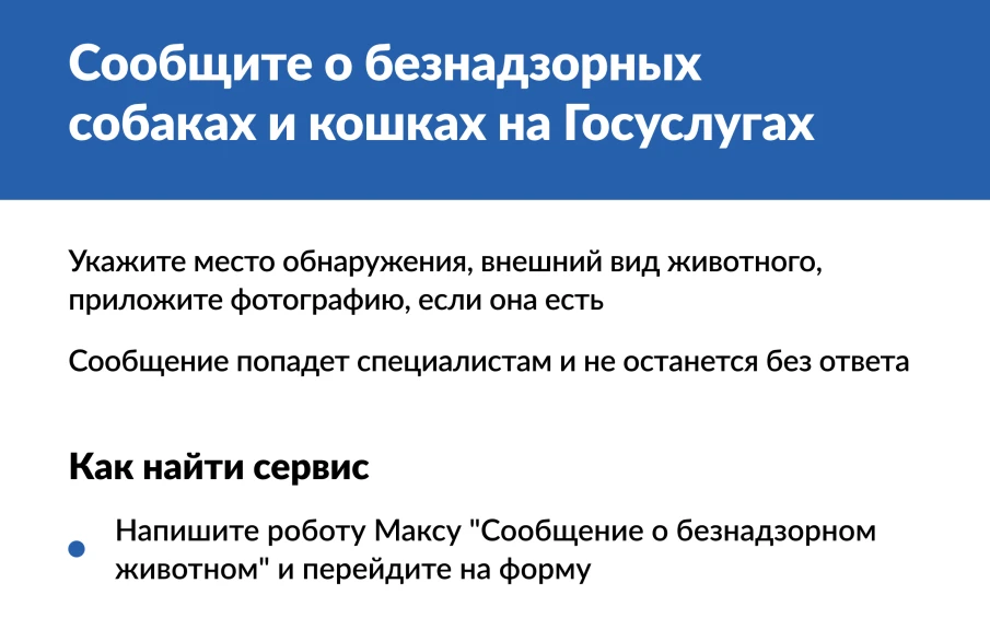 На портале «Госуслуги» можно уведомить о безнадзорном животном